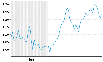Chart Mini Future Long Muenchener Rueck - 6 Monate