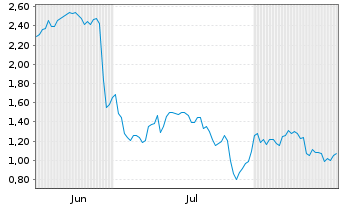 Chart Mini Future Short Nike - 6 Monate