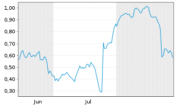 Chart Mini Future Short Puma - 6 Months