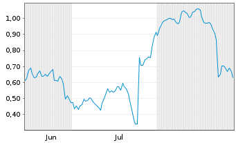 Chart Mini Future Short Puma - 6 Months