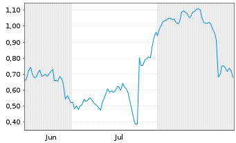 Chart Mini Future Short Puma - 6 Months
