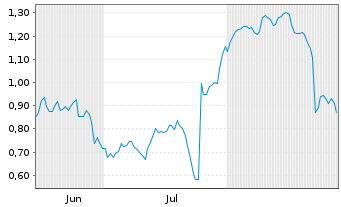 Chart Mini Future Short Puma - 6 Months