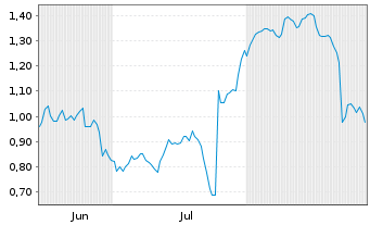 Chart Mini Future Short Puma - 6 Months