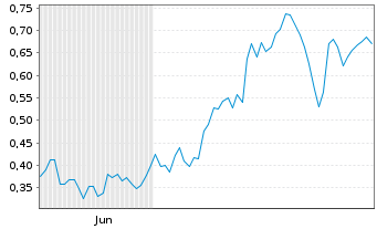 Chart Mini Future Long FinTech Group - 6 Monate