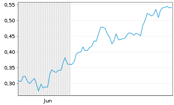 Chart Mini Future Long ING - 6 Monate