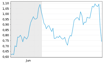 Chart Mini Future Long ARM Holdings - 6 Monate
