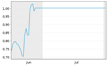 Chart Mini Future Long Schaeffler - 6 Months