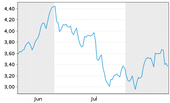 Chart Mini Future Long Netflix - 6 Monate