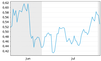 Chart Mini Future Long Shell - 6 Months