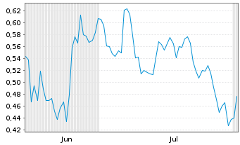Chart Mini Future Short Shell - 6 Months