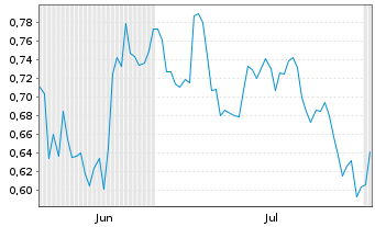 Chart Mini Future Short Shell - 6 Months