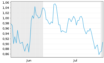 Chart Mini Future Short Shell - 6 Months