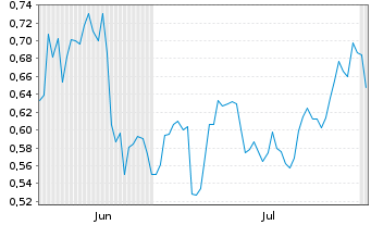 Chart Mini Future Long Shell - 6 Months