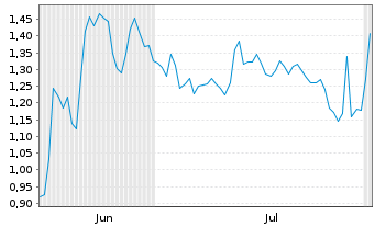 Chart Mini Future Short Visa - 6 Months