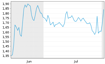 Chart Mini Future Short Visa - 6 Months