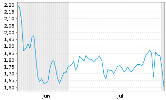 Chart Mini Future Long Visa - 6 Months