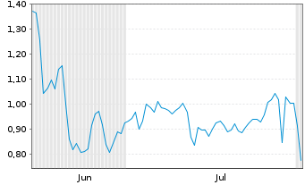 Chart Mini Future Long Visa - 6 Months