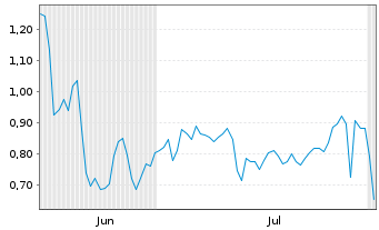 Chart Mini Future Long Visa - 6 Months