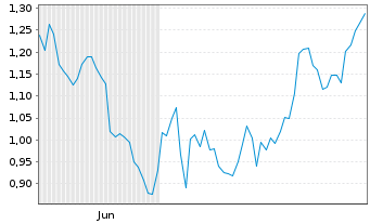 Chart Mini Future Short Mutares - 6 Monate