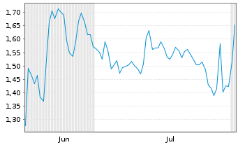 Chart Mini Future Short Visa - 6 Months