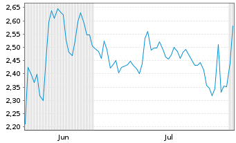 Chart Mini Future Short Visa - 6 Months