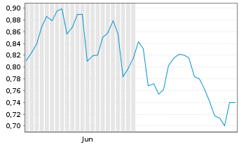Chart Mini Future Short Porsche - 6 mois