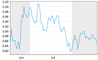Chart Mini Future Short Shell - 6 Monate