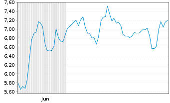 Chart Mini Future Short Adyen - 6 Monate