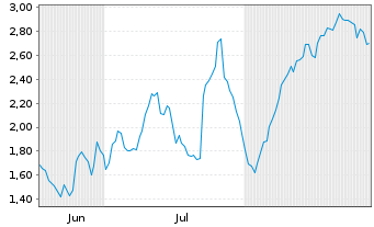 Chart Mini Future Long Volkswagen - 6 Monate