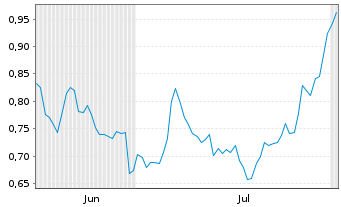 Chart Mini Future Short Borussia Dortmund - 6 mois