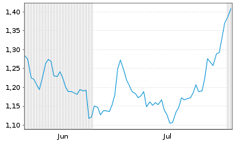 Chart Mini Future Short Borussia Dortmund - 6 mois