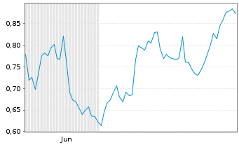 Chart Mini Future Long Chevron - 6 Months