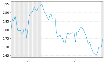 Chart Mini Future Short Chevron - 6 Months