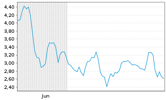 Chart Mini Future Long Adyen - 6 Monate