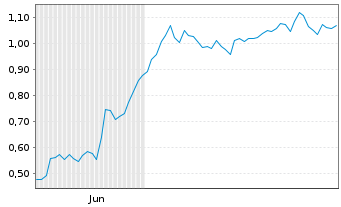 Chart Mini Future Long Carnival - 6 mois