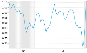 Chart Mini Future Short Snowflake - 6 Months