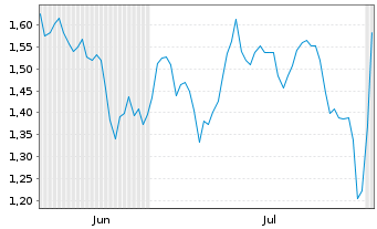 Chart Mini Future Short Snowflake - 6 Months