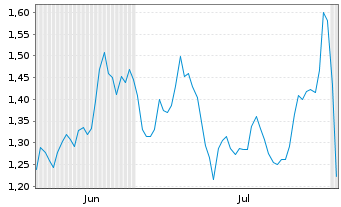 Chart Mini Future Long Snowflake - 6 Months