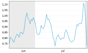 Chart Mini Future Long Snowflake - 6 Months