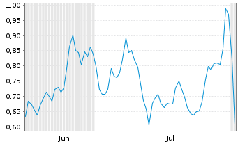 Chart Mini Future Long Snowflake - 6 Months