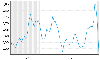 Chart Mini Future Long Snowflake - 6 Months