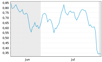 Chart Mini Future Short Snowflake - 6 Months