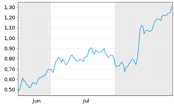 Chart Mini Future Long PVA TePla - 6 Months