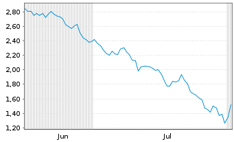 Chart Mini Future Short Caterpillar - 6 Months