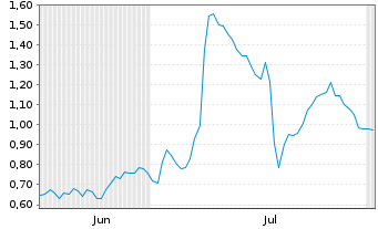 Chart Mini Future Long Salzgitter - 6 Months
