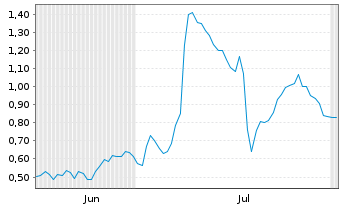 Chart Mini Future Long Salzgitter - 6 Months