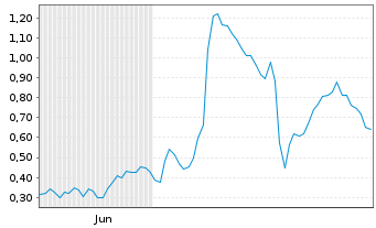 Chart Mini Future Long Salzgitter - 6 Monate
