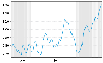 Chart Mini Future Long BASF - 6 Monate