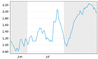 Chart Mini Future Long Volkswagen - 6 Monate