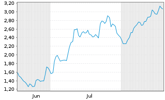 Chart Mini Future Long BMW - 6 Monate